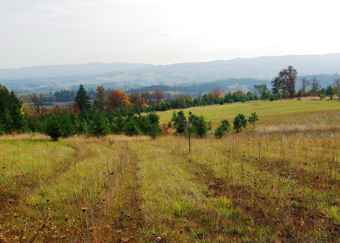 Beaverton, OR — Pacific Northwest